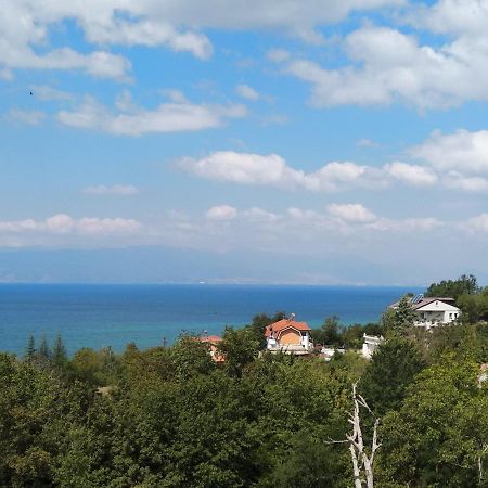 The Brothers Villa Hotel Ohrid Luaran gambar