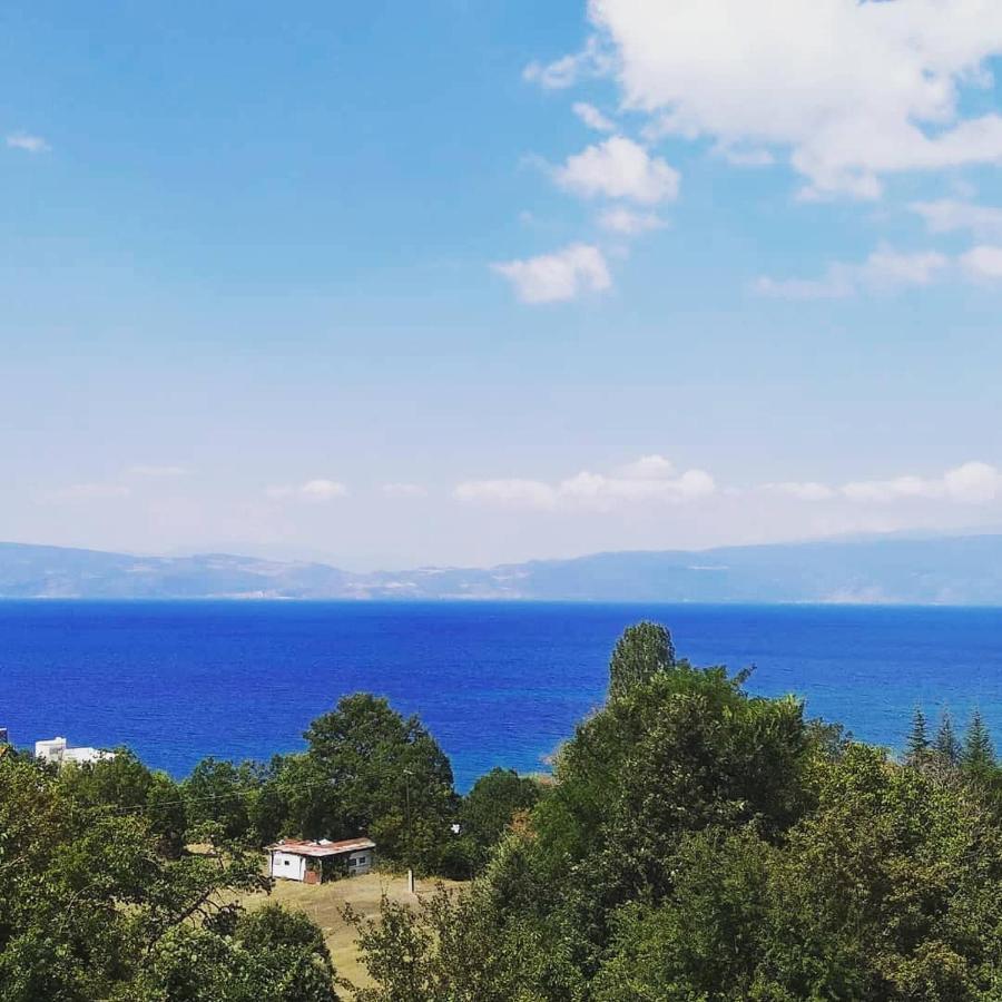 The Brothers Villa Hotel Ohrid Luaran gambar
