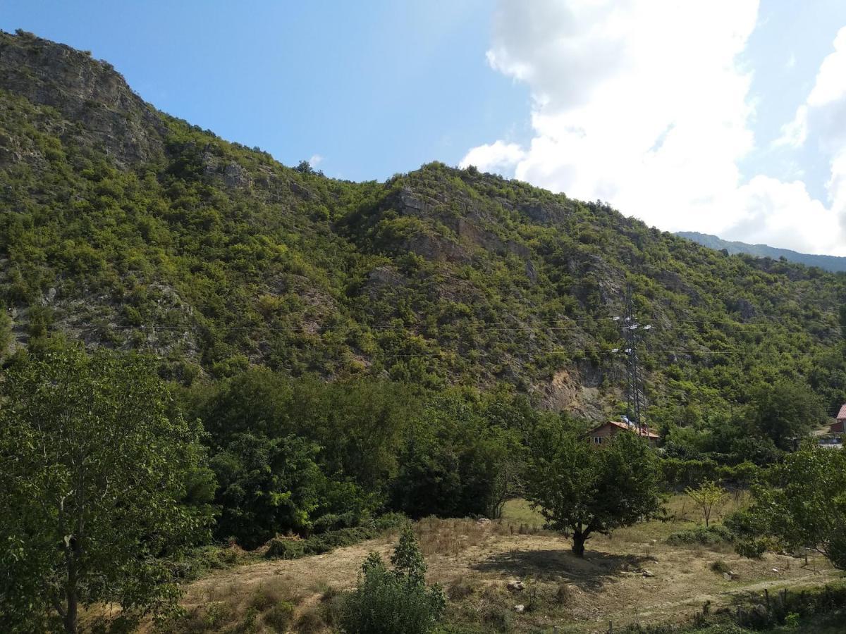 The Brothers Villa Hotel Ohrid Luaran gambar