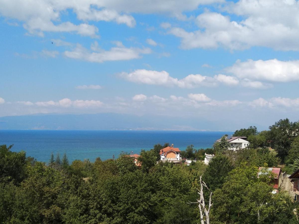 The Brothers Villa Hotel Ohrid Luaran gambar