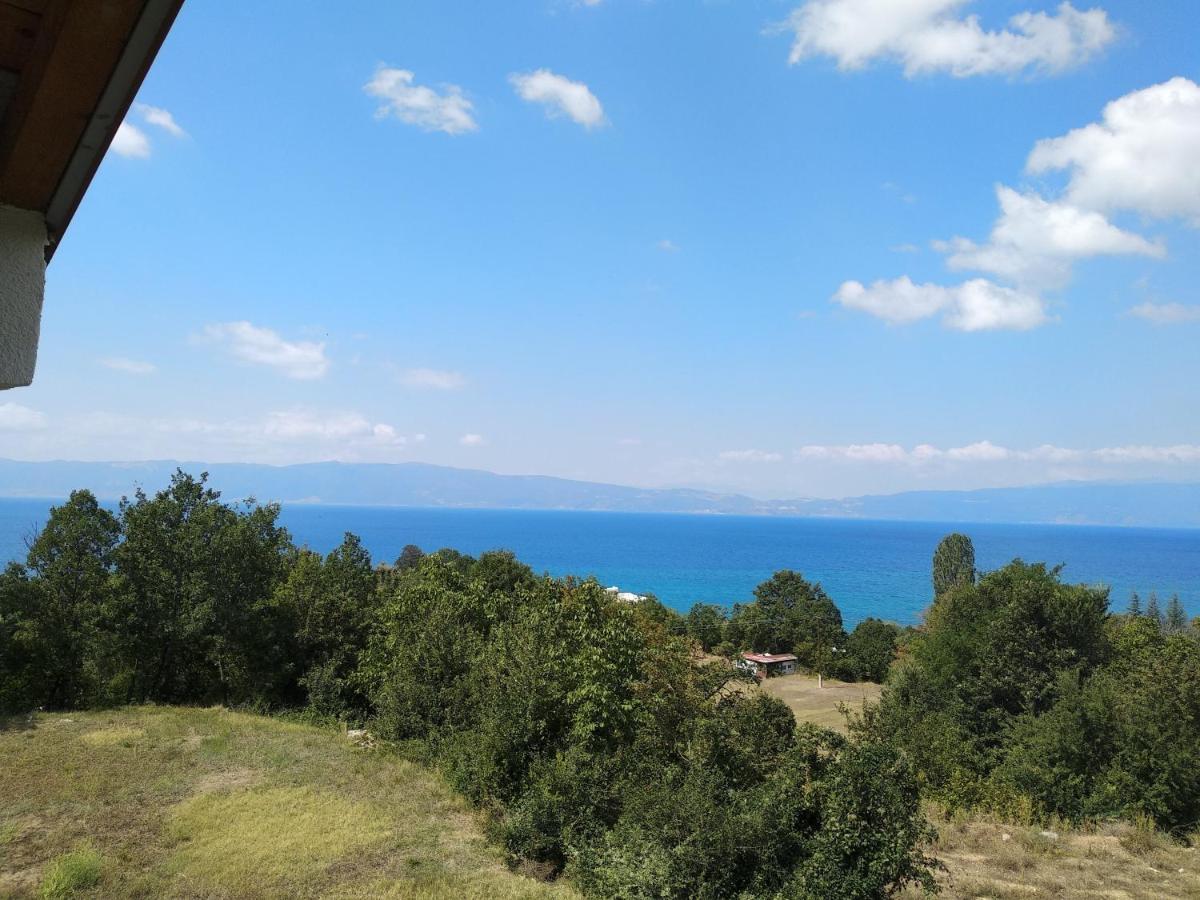 The Brothers Villa Hotel Ohrid Luaran gambar