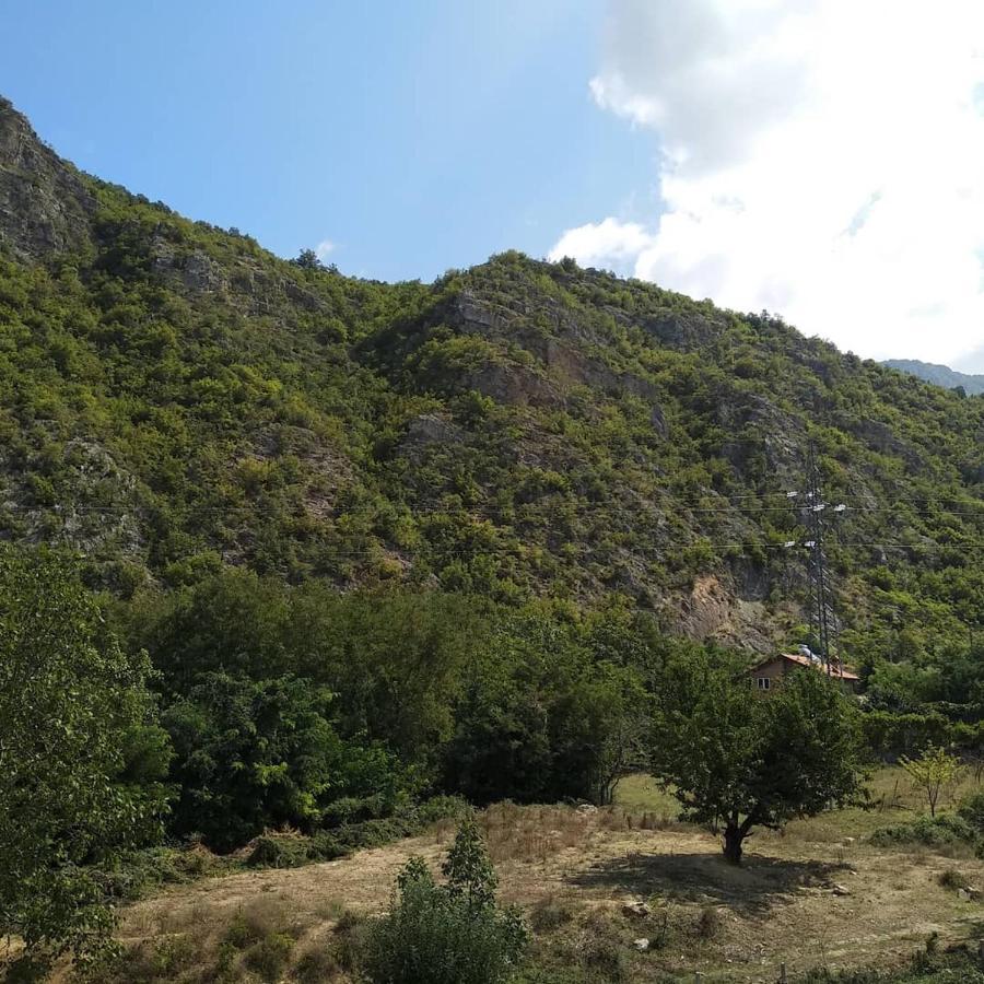 The Brothers Villa Hotel Ohrid Luaran gambar